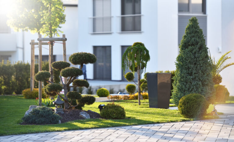 Hitze, Dürre, Starkregen: Die besten Pflanzen für den klimafesten Garten 2026