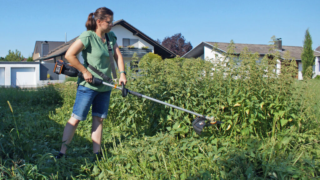 akku-freischneider-brennnessel-test-mariella-wendel In unserem Test meisterten nur Modelle mit Schneidklingen diese hohen Brennnesseln