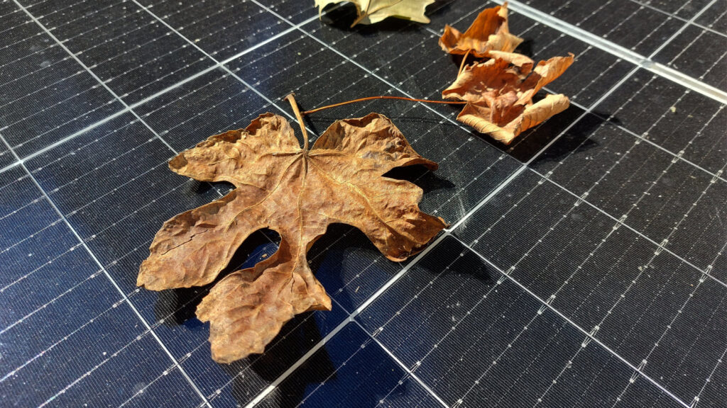 balkonkraftwerk-modulverschattung-durch-altes-laub Trockenes Laub liegt auf einem Solarmodul