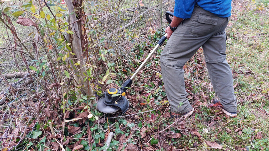 freischneider-test-mit-saegeblatt-an-baum Mit dieser speziellen Schneidklinge lassen sich sogar junge Bäumchen ummähen
