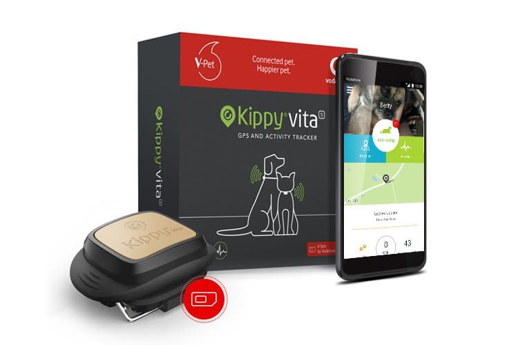 Kippy Vita ist der erste Tier-Tracker, der Ort und Gesundheit checkt Kippy Vita ist der erste Tier-Tracker, der Ort und Gesundheit checkt