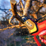 Mini-Kettensäge beim Schneiden eines Astes