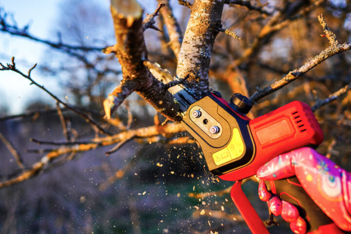 Klein, aber gefährlich gut?
