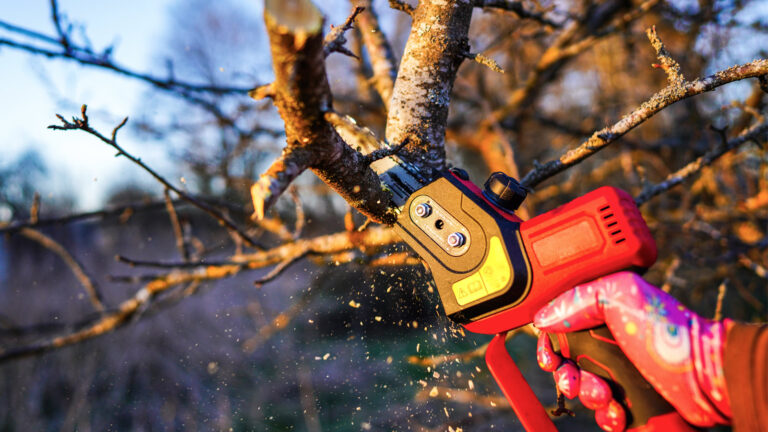 Klein, aber gefährlich gut?
