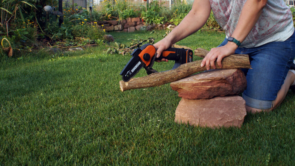 welche-akku-kettensaegen-schneiden-gut-2346 Säge zerschneidet kleinen Baumstamm
