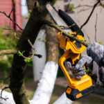 Mini-Säge trennt Ast vom Baum