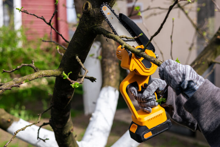 Mini-Kettensägen: Top Modelle im Vergleich – das sind die echten Geheimtipps