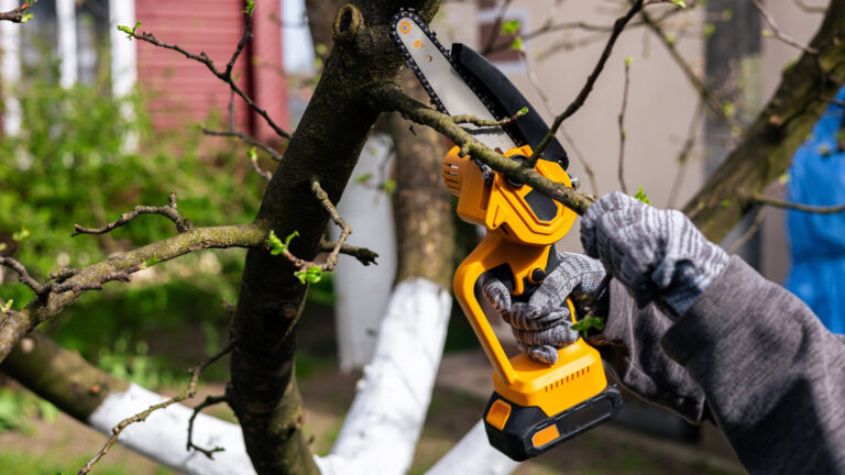 Mini-Kettensägen: Top Modelle im Vergleich – das sind die echten Geheimtipps