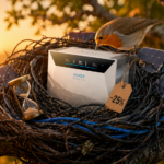 solago Early-Bird-Deal für die neue Anker SOLIX 4 Pro.