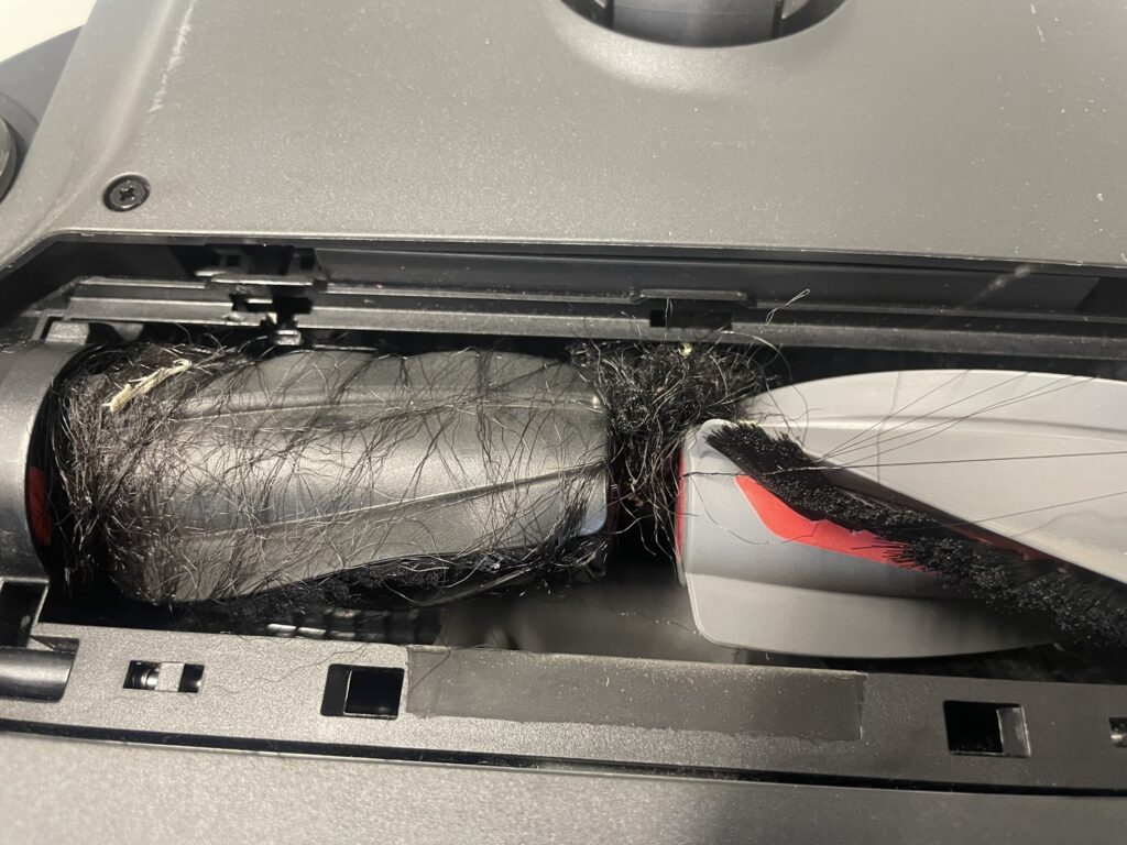 Einige Haare blieben nach dem Absaugen in der Bürste hängen