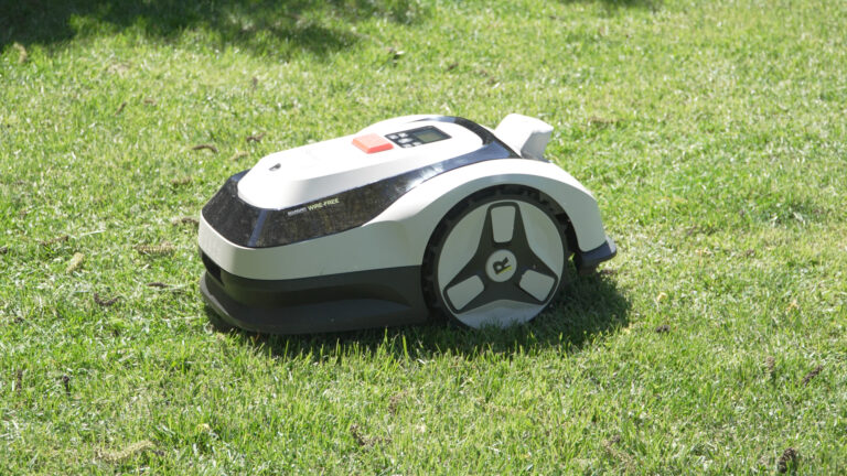 RoboUp Raccoon 2 SE Test: Günstig, einfach, aber was kann er wirklich?