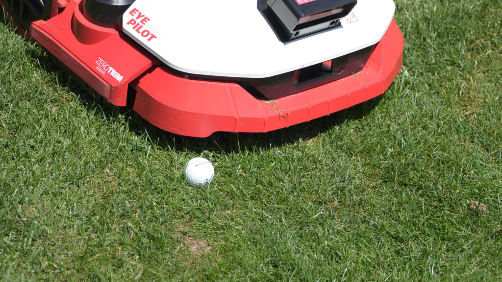 Der Golfball wurde stellenweise zur Herausforderung für den Kress.