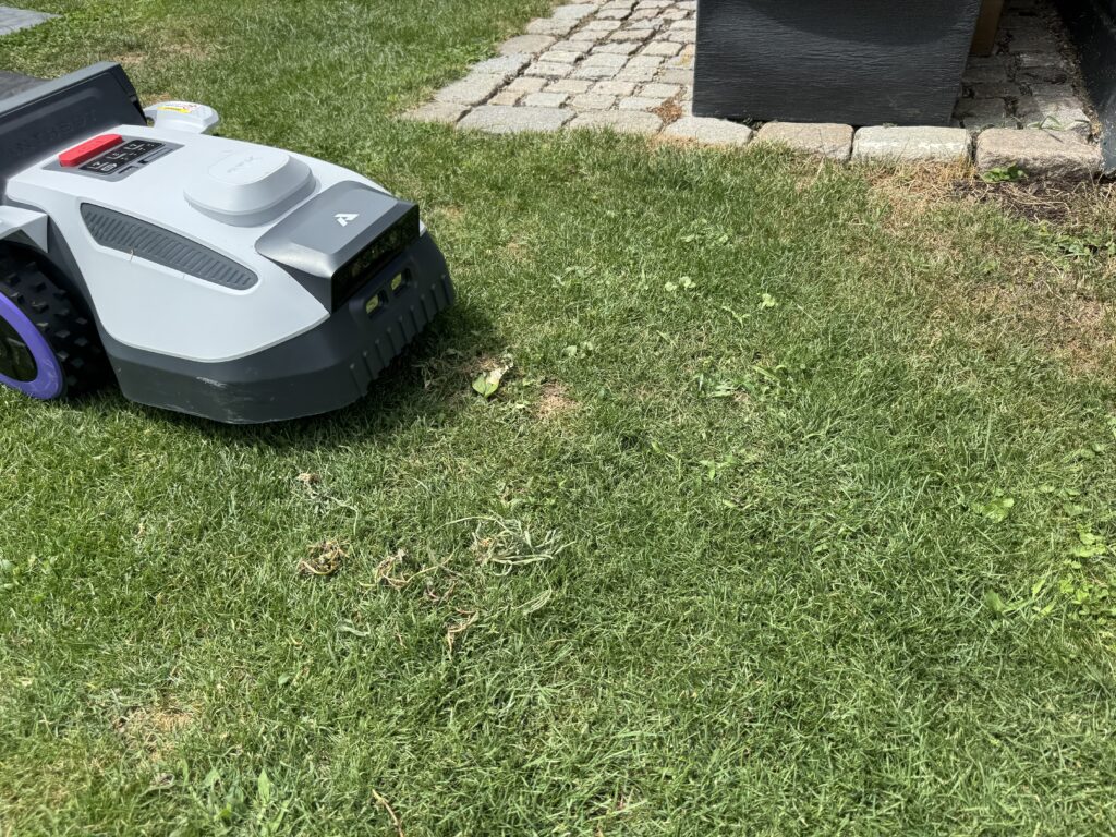 Wenige Reste an Laub und Schmutz blieb liegen, aber insgesamt funktionierte das Sammeln gut.