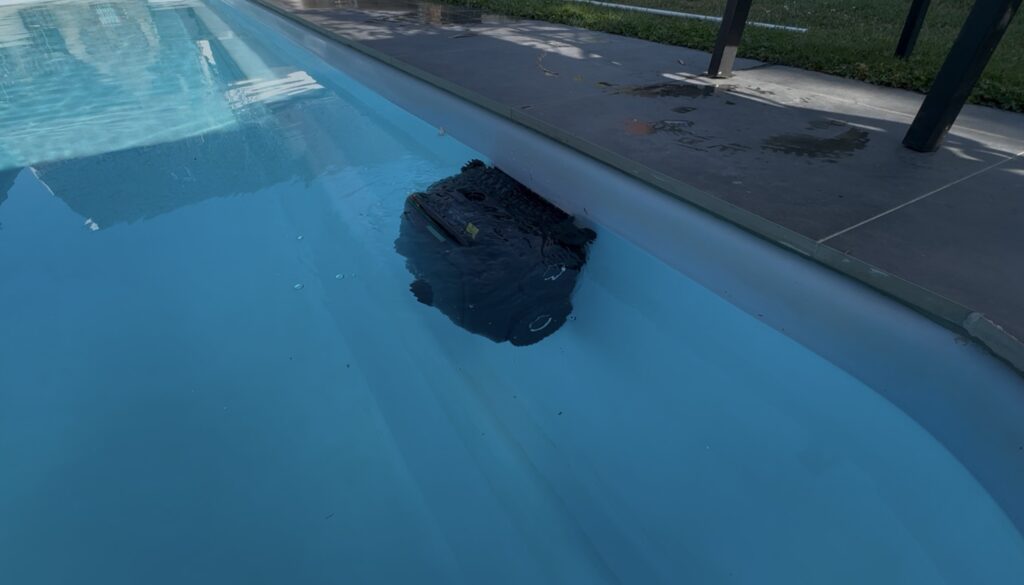 Wenn er es mal über die Kante geschafft hat, wurde die Wasserlinie nur ganz kurz gereinigt.