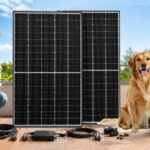 Mann hält jubelnd Geldscheine in der Hand, daneben sind zwei Solarmodule, Zubehör und zwei Hunde zu sehen