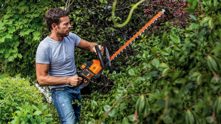 Akku-Heckenscheren bis zu 37 % reduziert: Die 4 besten Herbst-Deals