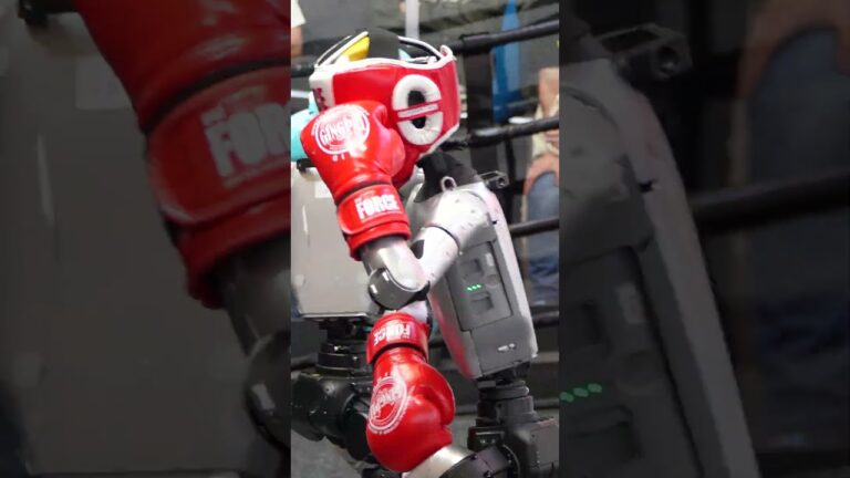 Kämpfende Roboter auf der IFA 2026?!