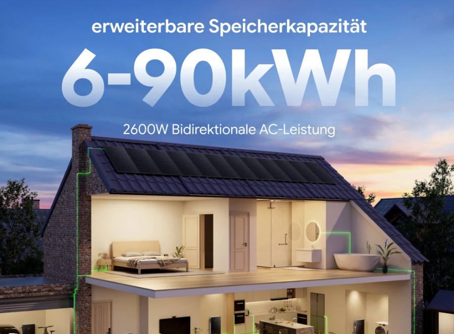 Der Nex 6000E kann auf bis zu 90kWh erweitert werden.