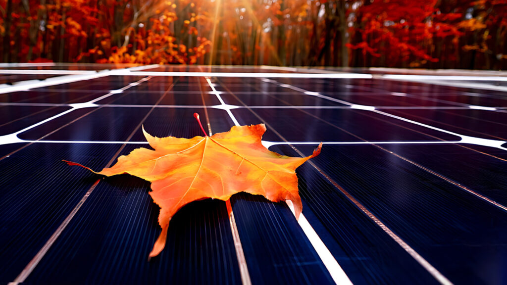 Solakon 1000W Balkonkraftwerk für 239,99 €: Lohnt der Kauf im Herbst?