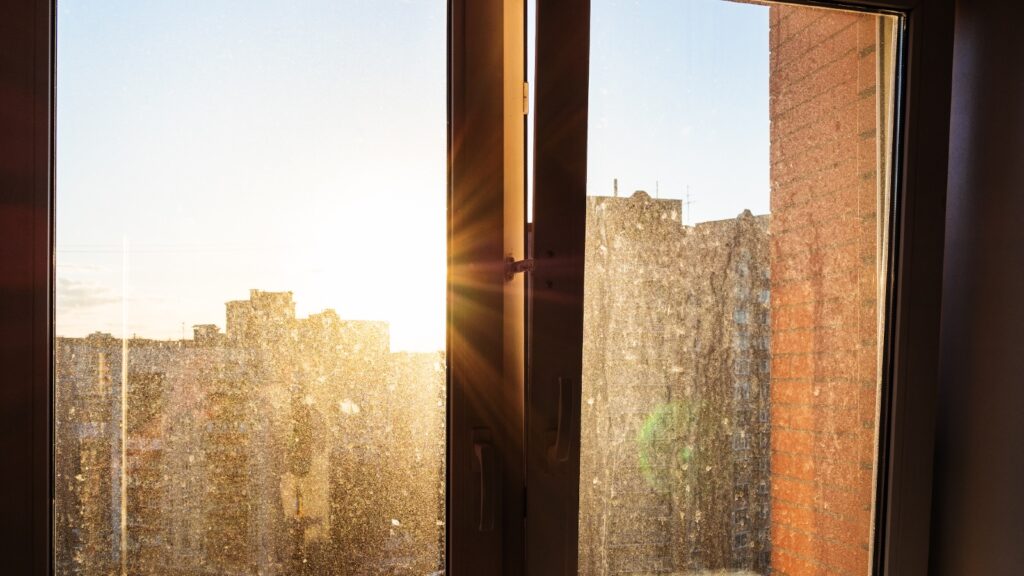 Streifenfrei trotz Herbstsonne: Technik und Abzieher-Trick fürs Fenster