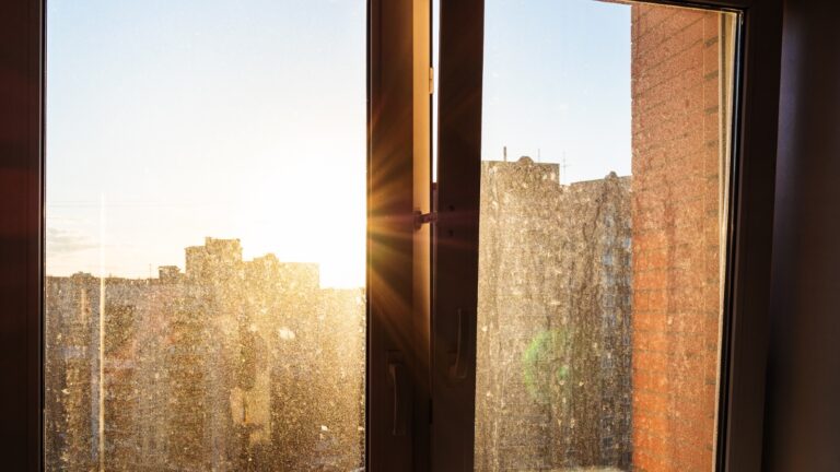 Streifenfrei trotz Herbstsonne: Technik und Abzieher-Trick fürs Fenster