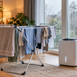 Wäscheständer im Wohnzimmer: Wer drinnen trocknet, sollte laut Umweltbundesamt ausreichend stoßlüften.