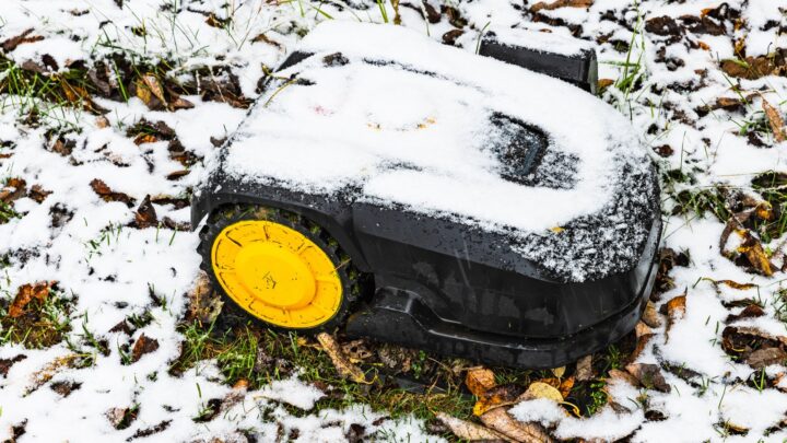 Vor dem ersten Frost: 6 Dinge, die jetzt Schutz brauchen