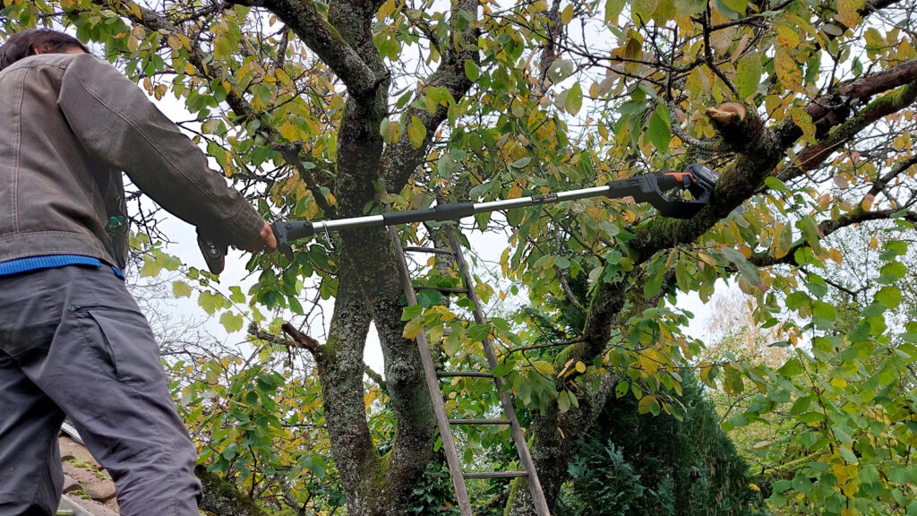 akku-kettensaege-mit-verlaengerung Mit einem speziellen Teleskopstab lassen sich auch schwer erreichbare Äste stutzen