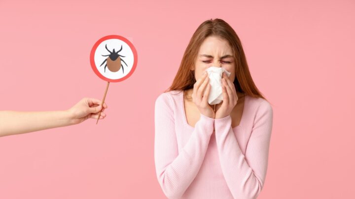 Niesen ade: Ein Saugroboter für Allergiker holt im Test 98 von 100 Punkten