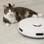 Katze liegt neben einem Saugroboter auf hellem Laminat