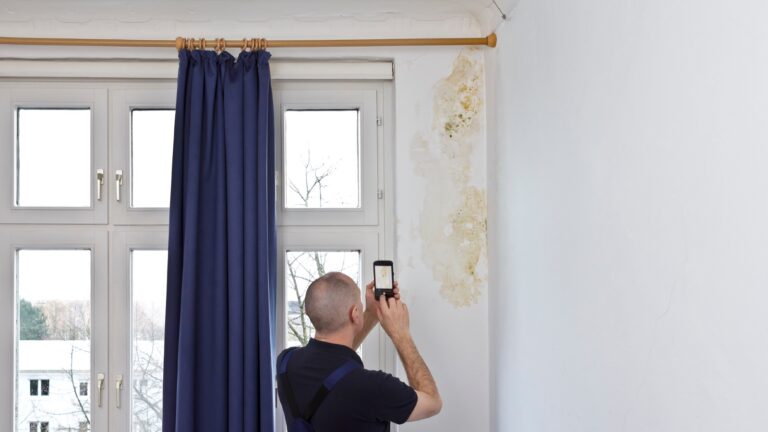 Diese Ecke deiner Wohnung schimmelt, lange bevor du es siehst